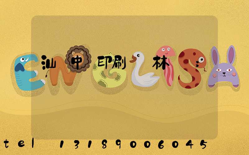 汕頭中興印刷廠 林偉國